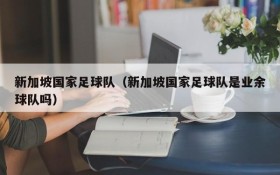 新加坡国家足球队(新加坡国家足球队是业余球队吗)