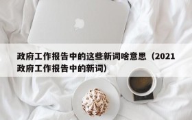 政府工作报告中的这些新词啥意思(2021政府工作报告中的新词)
