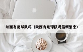 陕西有足球队吗(陕西有足球队吗最新消息)