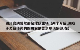 四川安纳普尔那足球队主场(两个月后,深陷于欠薪传闻的四川安纳普尔那俱乐部,在)