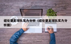 纽伦堡足球队实力分析(纽伦堡足球队实力分析图)