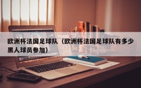 欧洲杯法国足球队(欧洲杯法国足球队有多少黑人球员参加)