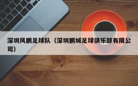 深圳风鹏足球队（深圳鹏城足球俱乐部有限公司）
