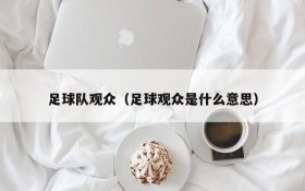 足球队观众(足球观众是什么意思)