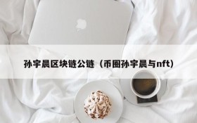 孙宇晨区块链公链(币圈孙宇晨与nft)