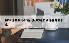 区块链里的ip公链(区块链上公链意味着什么)
