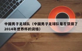 中国男子足球队(中国男子足球队是否获得了2014年世界杯的资格)