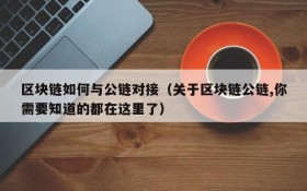 区块链如何与公链对接(关于区块链公链,你需要知道的都在这里了)