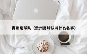 贵州足球队(贵州足球队叫什么名字)
