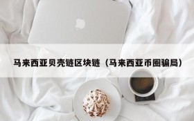 马来西亚贝壳链区块链(马来西亚币圈骗局)