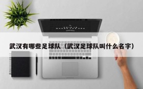 武汉有哪些足球队(武汉足球队叫什么名字)