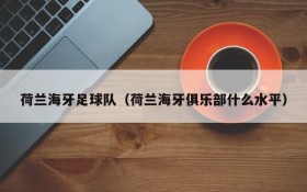 荷兰海牙足球队(荷兰海牙俱乐部什么水平)