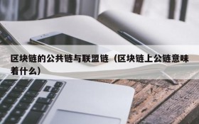 区块链的公共链与联盟链(区块链上公链意味着什么)