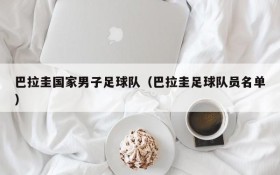 巴拉圭国家男子足球队(巴拉圭足球队员名单)