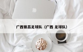 广西银荔足球队(广西 足球队)