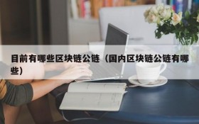 目前有哪些区块链公链(国内区块链公链有哪些)