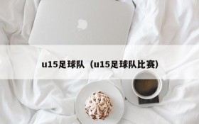 u15足球队(u15足球队比赛)
