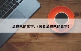 足球队的名字.(著名足球队的名字)