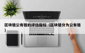 区块链公有链的评估指标(区块链分为公有链)