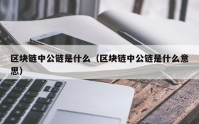 区块链中公链是什么(区块链中公链是什么意思)