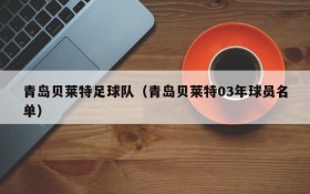 青岛贝莱特足球队(青岛贝莱特03年球员名单)