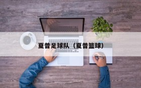 夏普足球队(夏普篮球)
