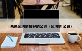 未来区块链最好的公链(区块链 公链)