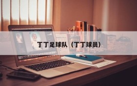 丁丁足球队(丁丁球员)
