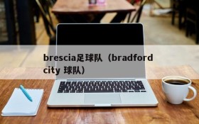 brescia足球队(bradford city 球队)
