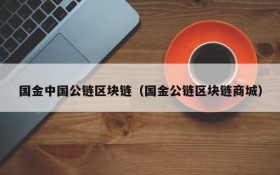 国金中国公链区块链(国金公链区块链商城)