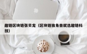 趣链区块链张贝龙(区块链独角兽就选趣链科技)