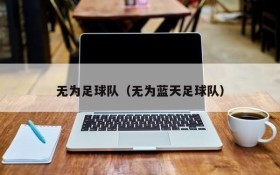 无为足球队(无为蓝天足球队)