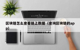 区块链怎么查看链上数据(查询区块链的app)