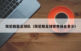突尼西亚足球队(突尼斯足球世界排名多少)