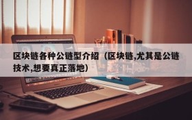 区块链各种公链型介绍(区块链,尤其是公链技术,想要真正落地)