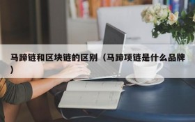马蹄链和区块链的区别(马蹄项链是什么品牌)