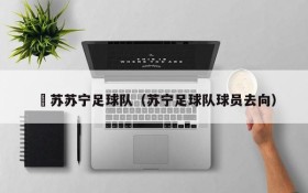 冮苏苏宁足球队(苏宁足球队球员去向)