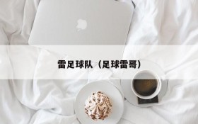 雷足球队(足球雷哥)