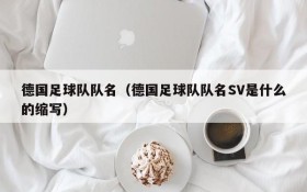德国足球队队名(德国足球队队名SV是什么的缩写)
