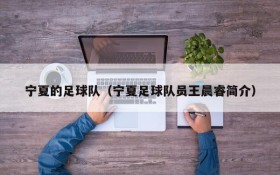 宁夏的足球队(宁夏足球队员王晨睿简介)