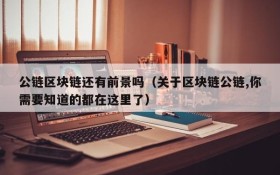 公链区块链还有前景吗(关于区块链公链,你需要知道的都在这里了)