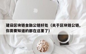 建设区块链金融公链好处(关于区块链公链,你需要知道的都在这里了)