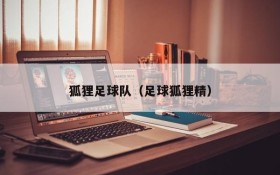 狐狸足球队(足球狐狸精)