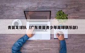 青苗足球队(广东青苗青少年足球俱乐部)