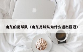 山东的足球队(山东足球队为什么退出亚冠)