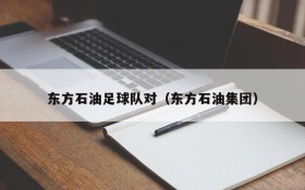 东方石油足球队对(东方石油集团)
