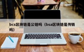 bcs区块链是公链吗(bsa区块链是传销吗)