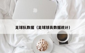 足球队数据(足球球员数据统计)