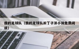 我的足球队(我的足球队长丁子洋小说免费阅读)