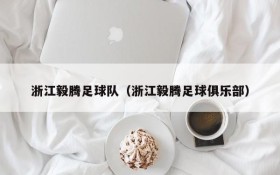 浙江毅腾足球队(浙江毅腾足球俱乐部)